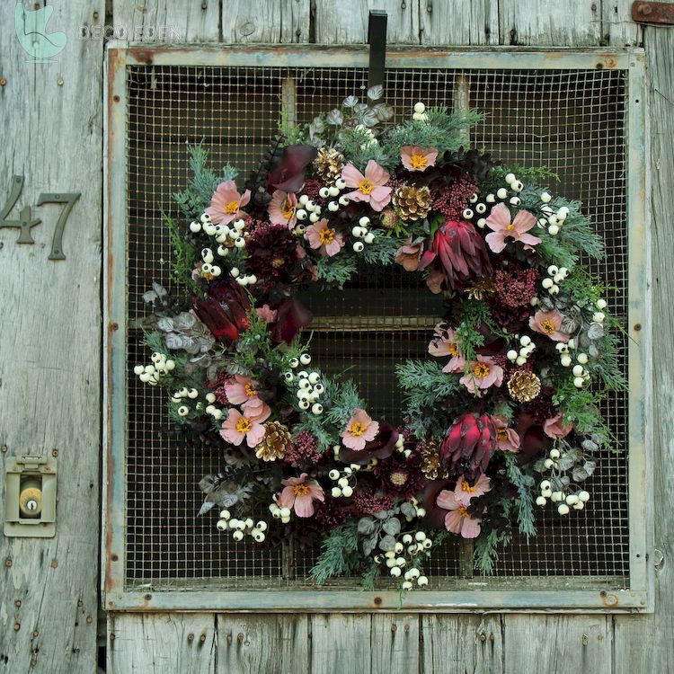 Corona de Navidad Protea Borgoña y Cosmos y Cala Lirio