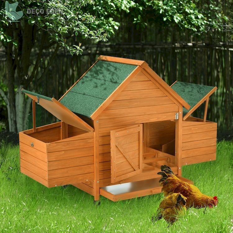 chicken coop with chicken run for up to 3 chickens final