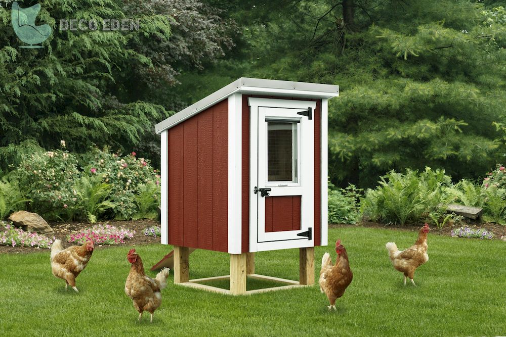 chicken coop with nesting box and roosting bar 2 final