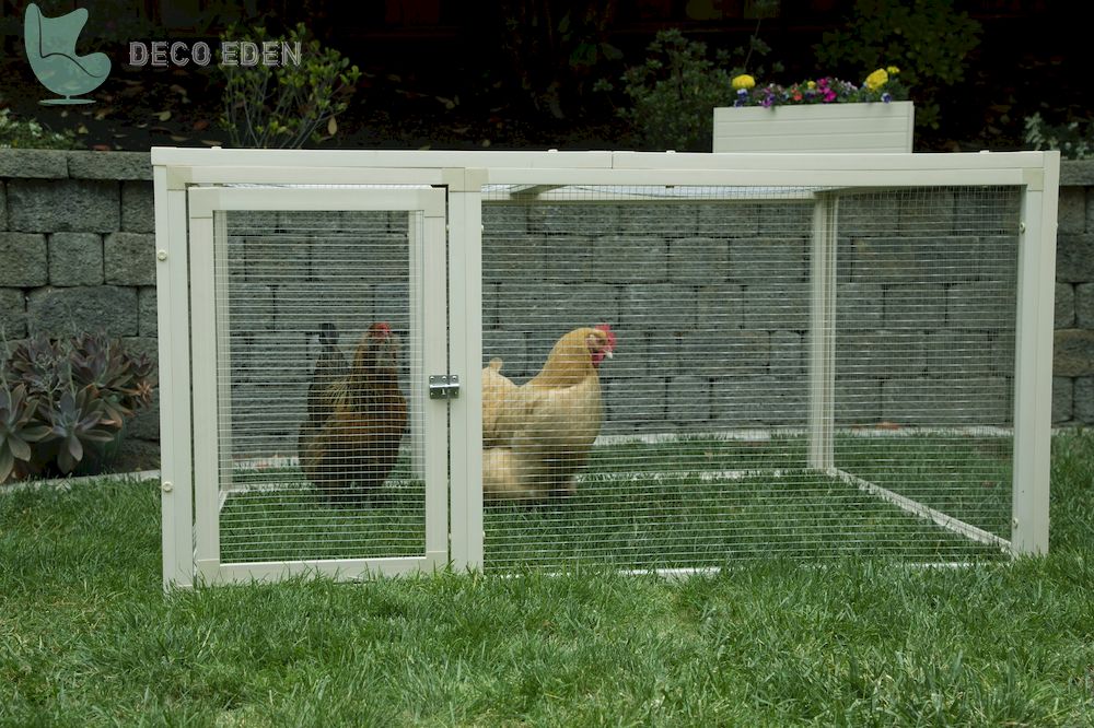 Gallinero con malla de alambre para 4 pollos