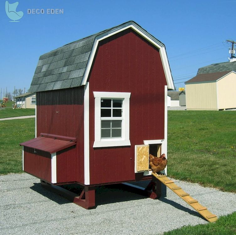 chicken house with nesting box and ramp final