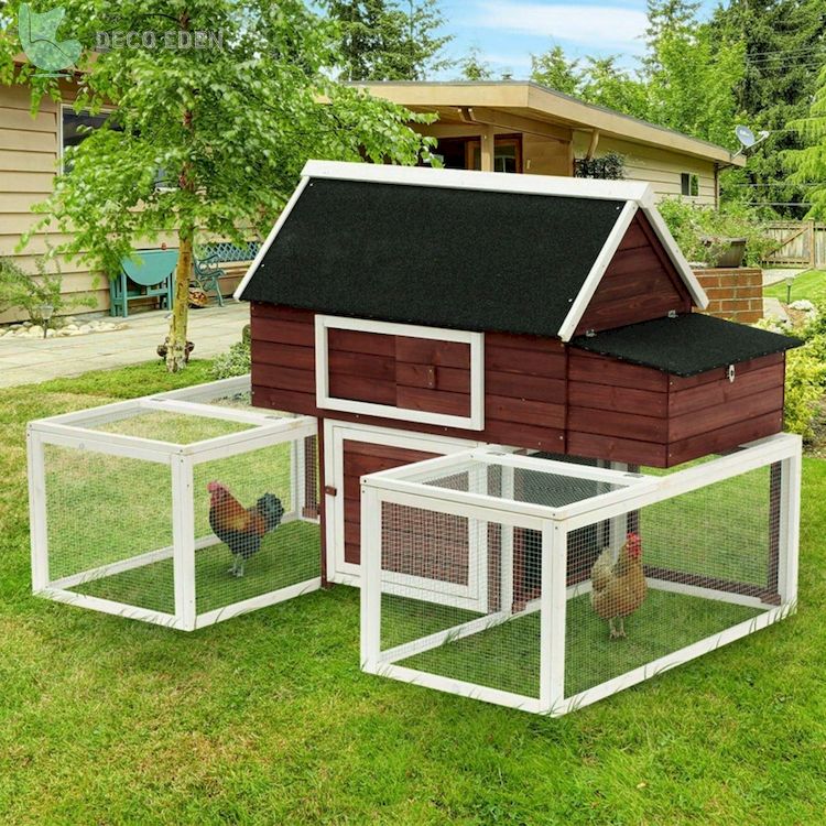 Gallinero de patio trasero de madera modular Garnett con dos carreras al aire libre