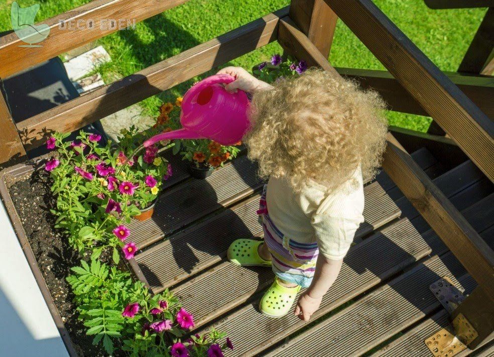 Casa de juegos con plantas en maceta