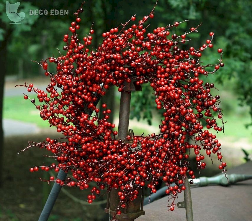 Guirnalda de bayas en espiral roja