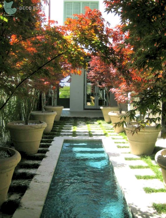 Pequeña piscina rodeada de plantas en macetas.